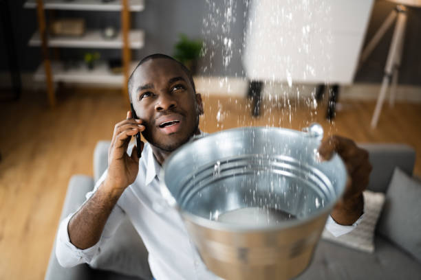 Best 24-hour water damage restoration  in South Point, OH