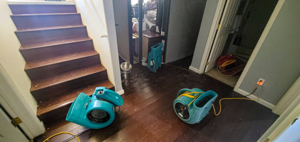 Best Fire Damage Restoration  in South Point, OH