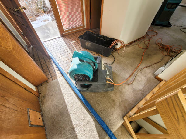 Best Commercial water damage restoration  in South Point, OH