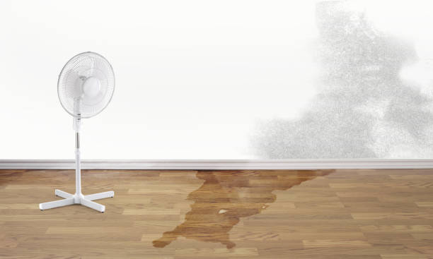 Best 24/7 water damage repair  in South Point, OH