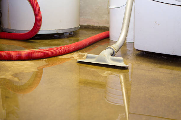 Best Basement water damage restoration  in South Point, OH