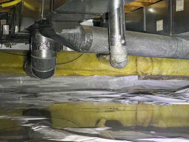Best Water damage contractors near me  in South Point, OH