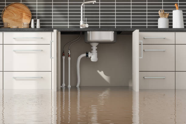 Best Water damage restoration mold remediation  in South Point, OH