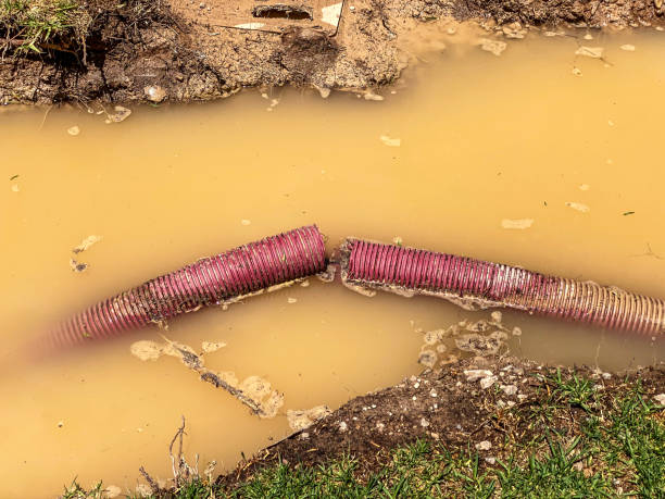 Best Flood damage cleanup  in South Point, OH